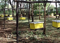 apiculture2022